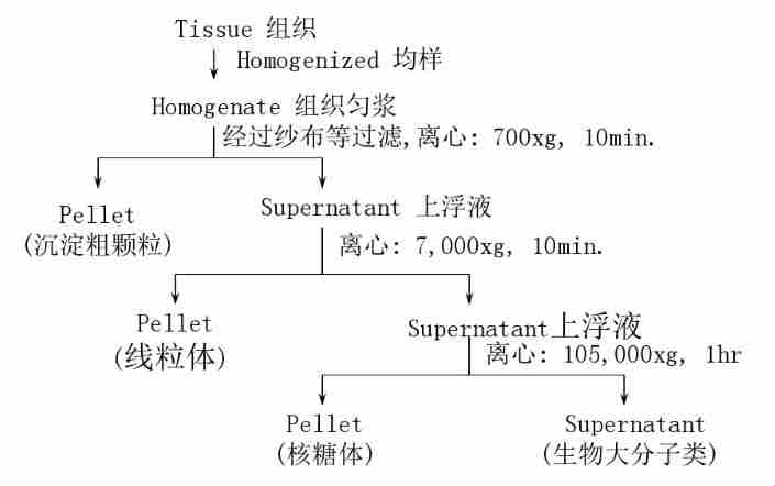 日立離心機售后電話-離心機的離心方法···