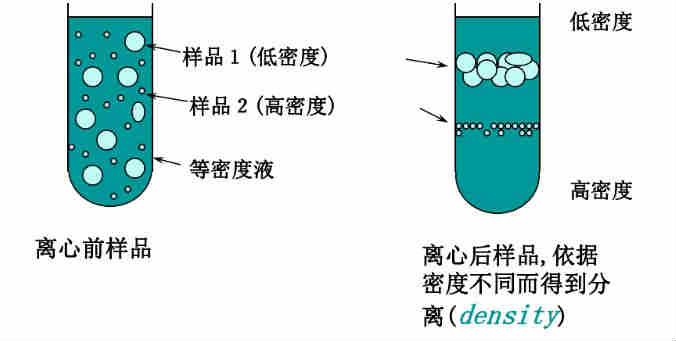hitachi離心機原理維修